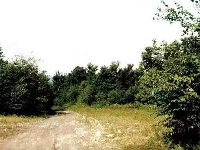 House for sale in Big Brook, Inverness County
