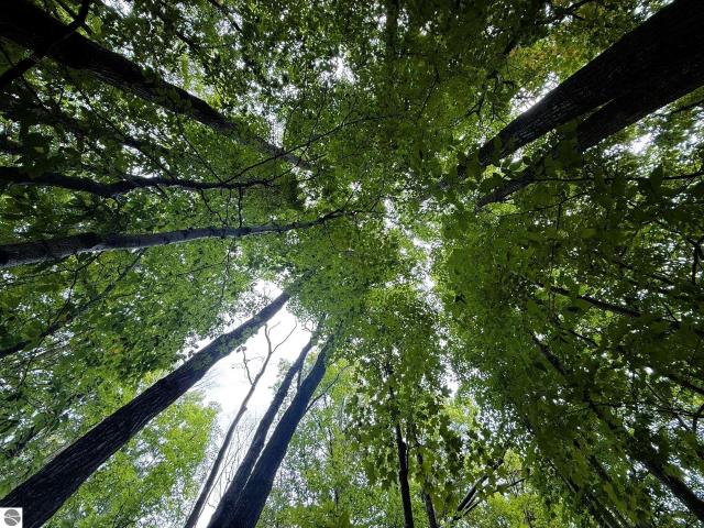 Land for sale in Michigan