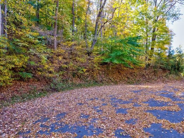 Land for sale in Tennessee