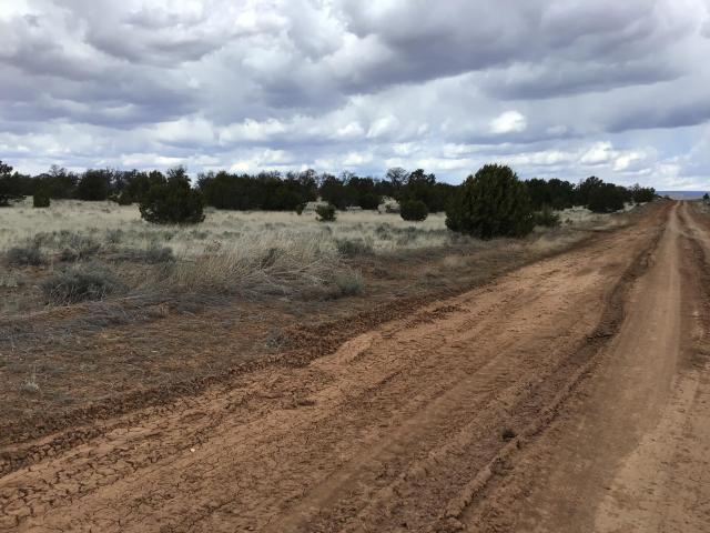 Land for sale in Ramah, New Mexico