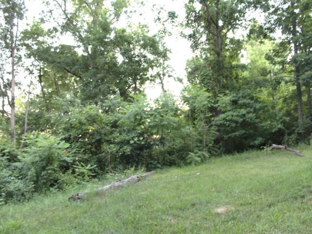 Land for sale in Fremont, Indiana