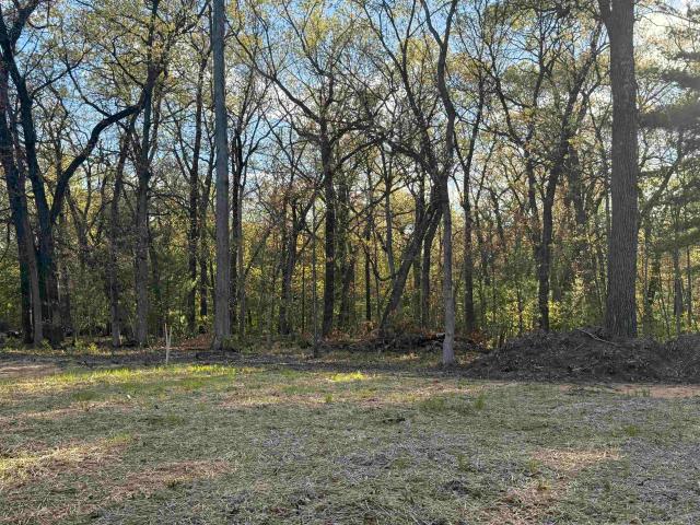 Land for sale in Juneau, Wisconsin