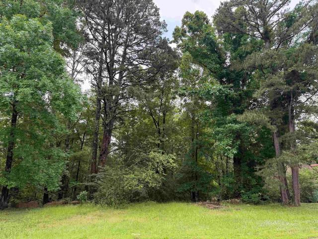 Land for sale in Ark