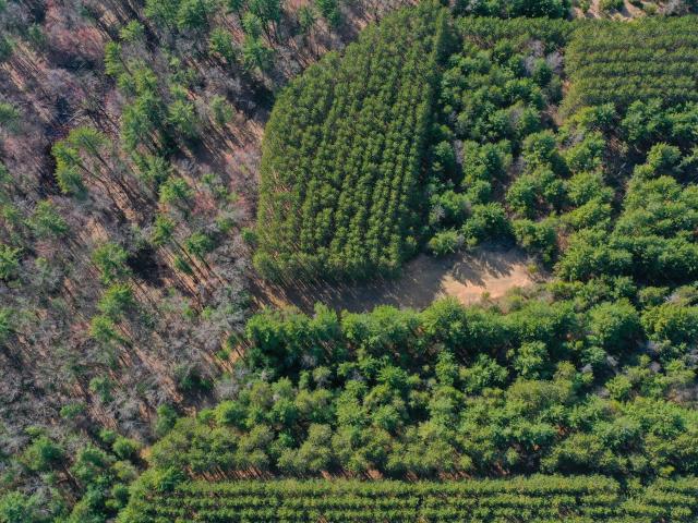 Land for sale in Wisconsin