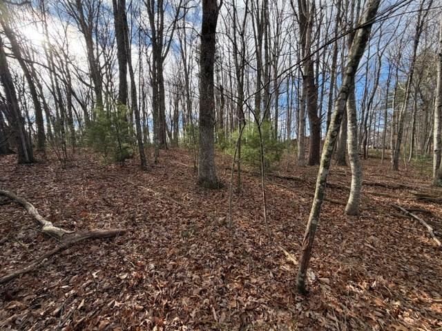 Land for sale in Virginia