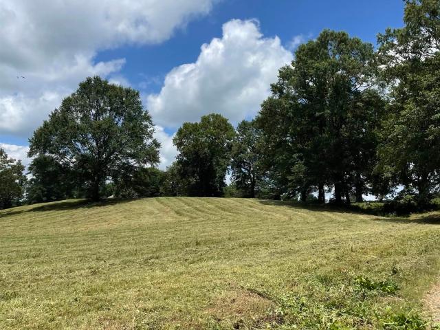 Land for sale in Ark