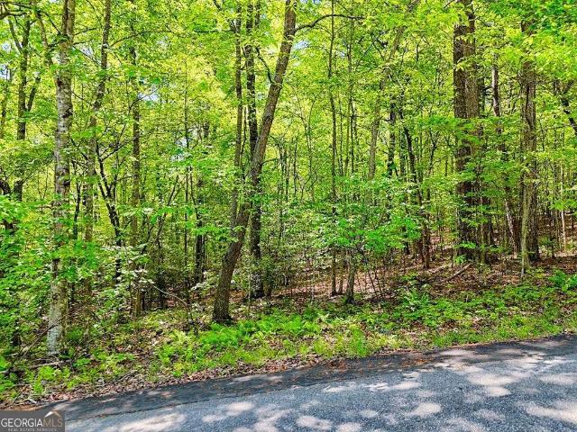 Land for sale in Blairsville, Georgia