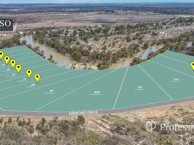Land for sale in Wentworth, New South Wales