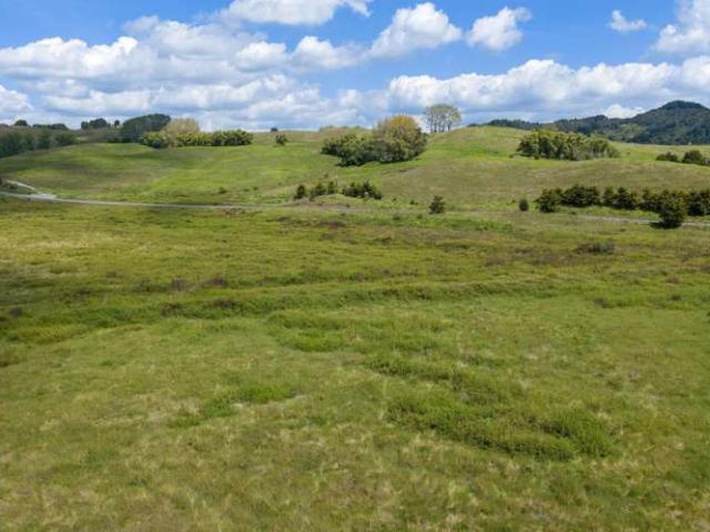 Property for sale in Karetu, Northland