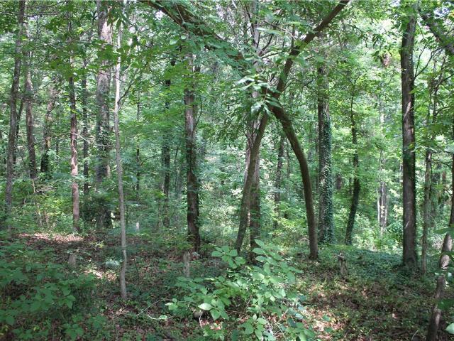 Land for sale in Ark