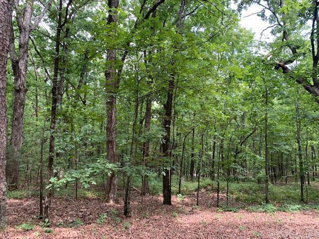 Land for sale in Ark