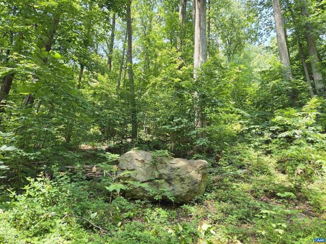 Land for sale in Virginia