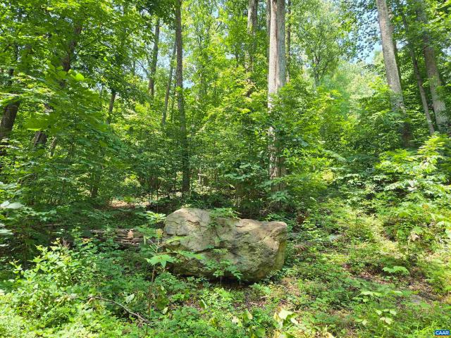 Land for sale in Virginia