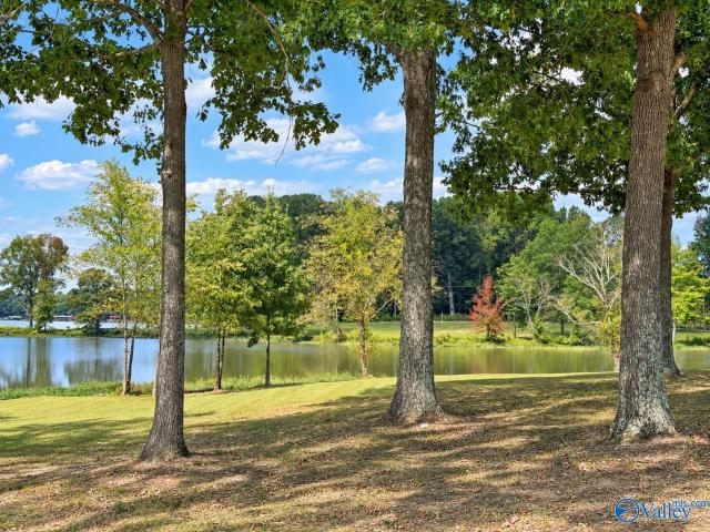 Land for sale in Cedar Bluff, Cherokee County