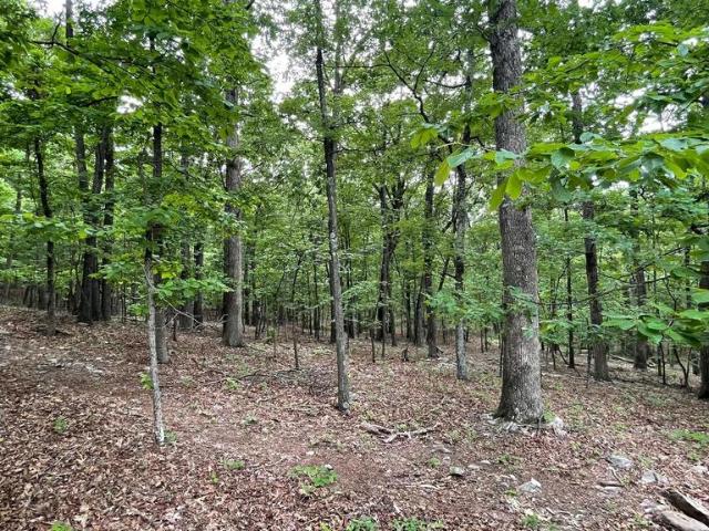 Land for sale in West Virginia