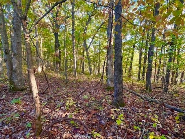 Land for sale in Barnett, Missouri