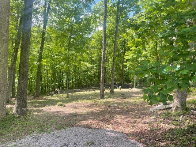Land for sale in Burnside, Kentucky