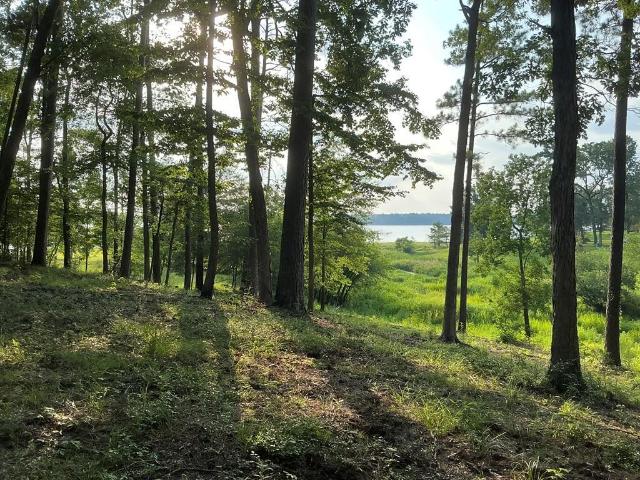 Land for sale in Broaddus, Texas