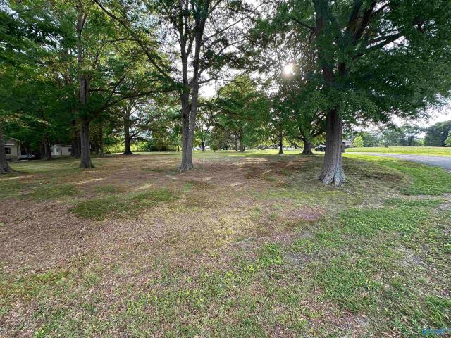 Land for sale in Etowah, Alabama