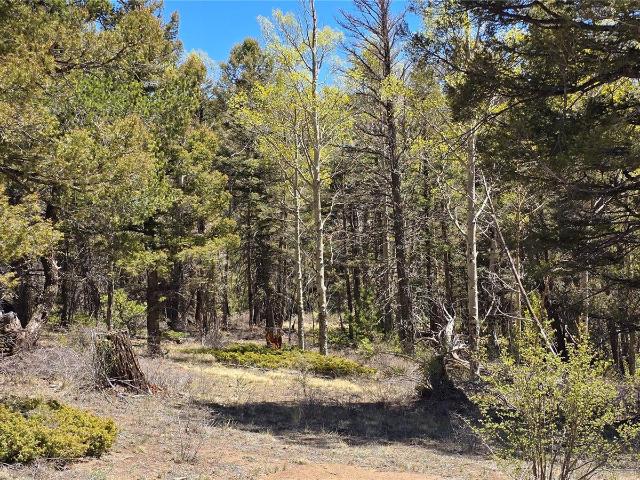 Land for sale in Fort Garland, Colorado