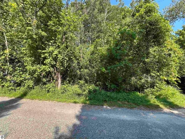 Land for sale in Michigan