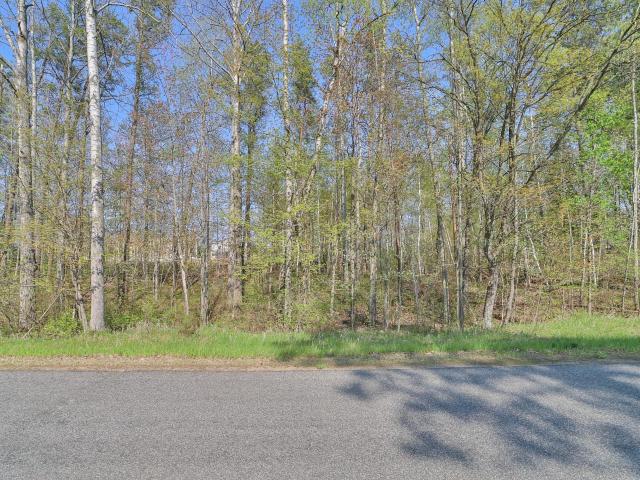 Land for sale in Crosslake, Minnesota
