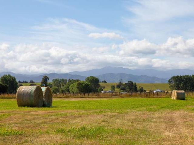 Property for sale in Carterton, Wellington
