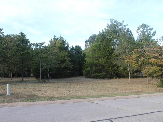 Land for sale in Bull Shoals, Marion County