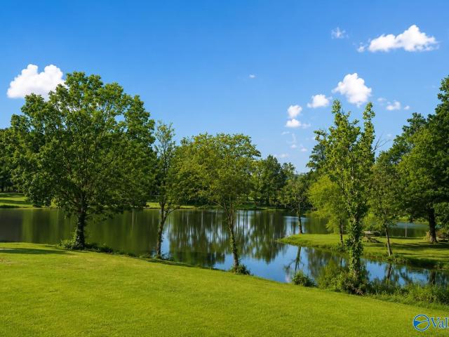 Land for sale in Cedar Bluff, Alabama