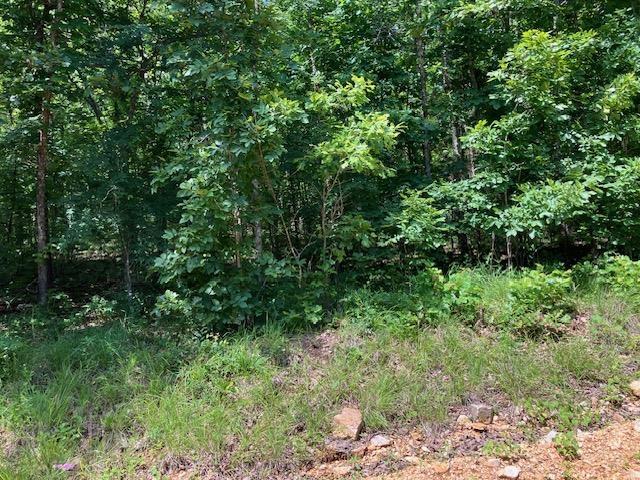 Land for sale in Ark