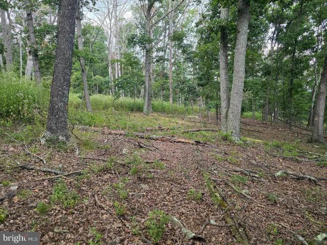 Land for sale in Capon Bridge, Hampshire County