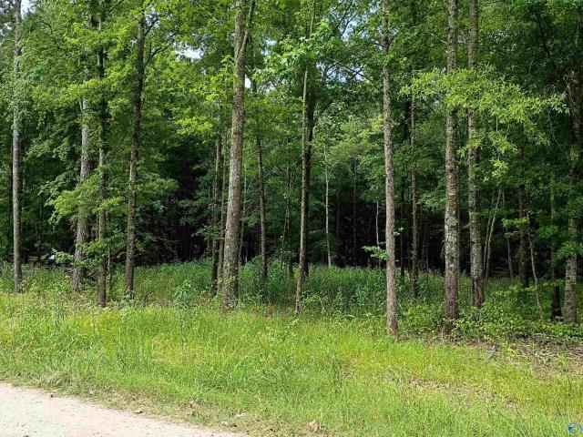 Land for sale in Centre, Alabama