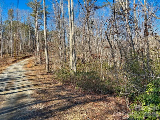 Land for sale in Rutherford, North Carolina