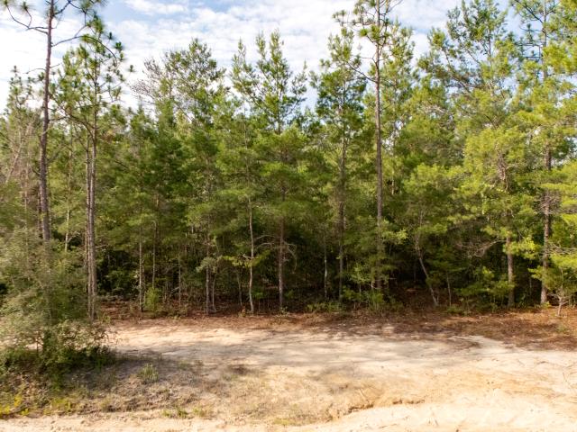 Land for sale in Walton, Florida