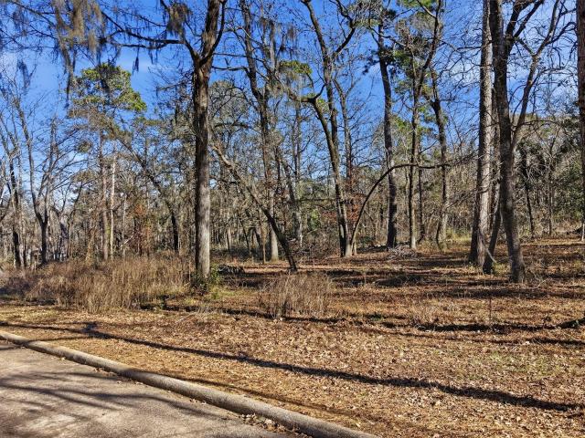 Land for sale in Coldspring, Texas