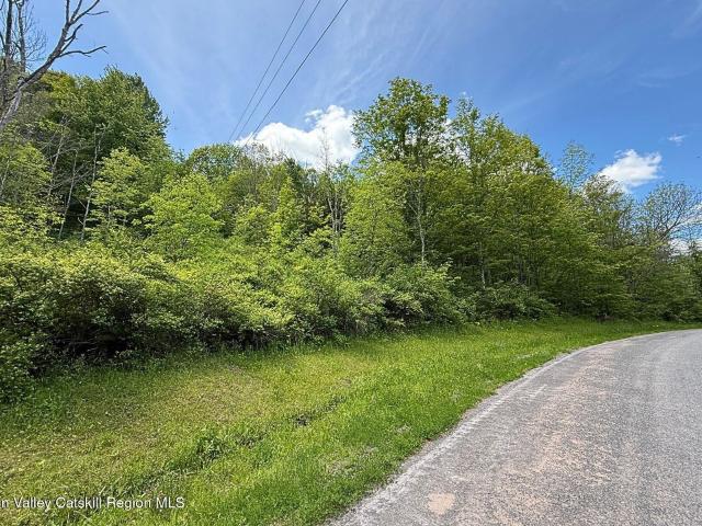 Land for sale in Denver, New York