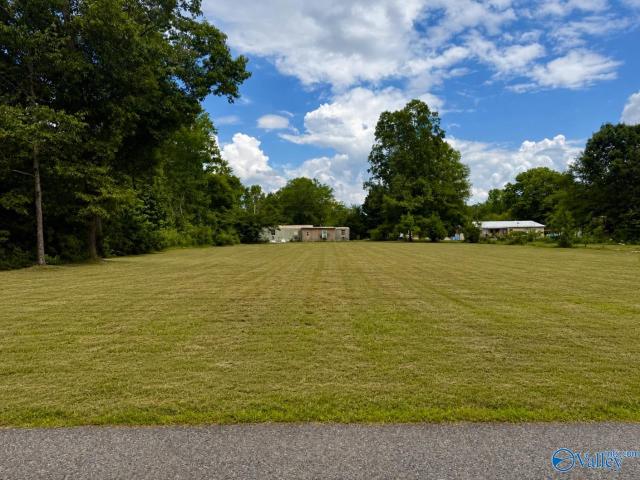 Land for sale in Cedar Bluff, Alabama