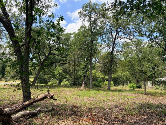 Land for sale in Smithville, Texas