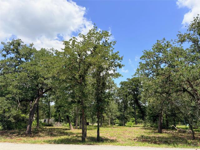 Land for sale in Smithville, Texas