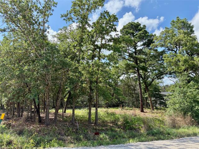 Land for sale in Smithville, Texas