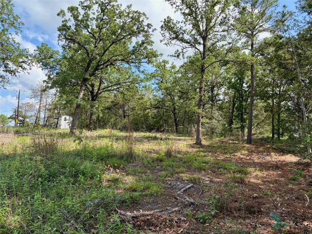 Land for sale in Smithville, Texas