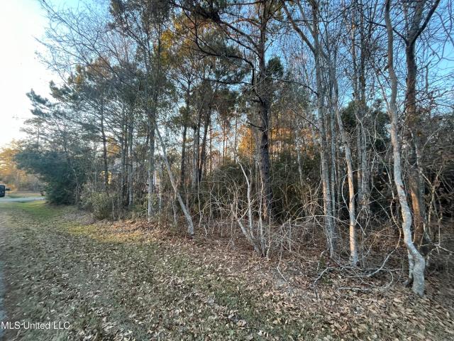 Land for sale in Waveland, Mississippi