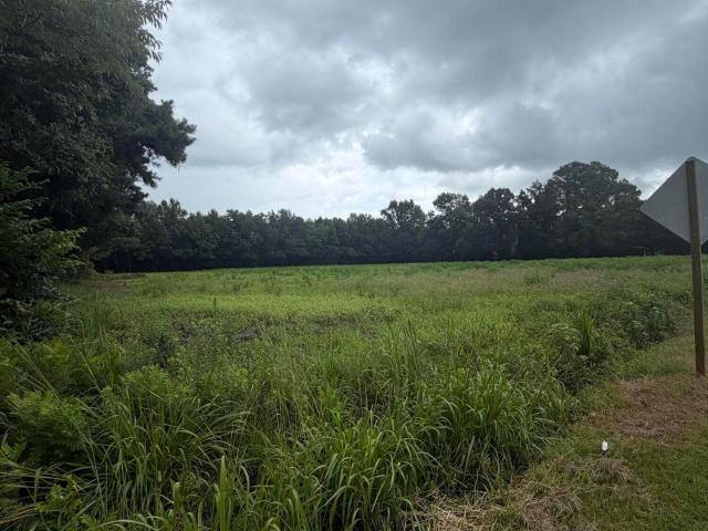Land for sale in Washington, North Carolina