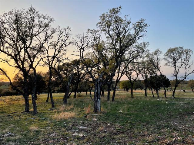 Land for sale in San Saba, Texas