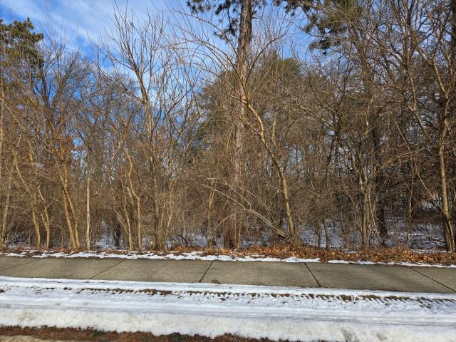 Land for sale in Essex, Illinois