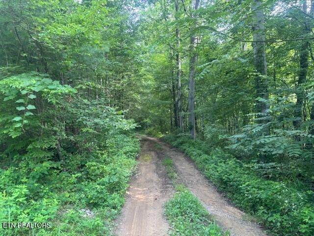 Land for sale in Tennessee