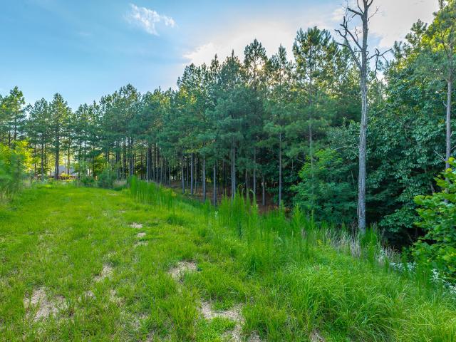 Land for sale in Tennessee