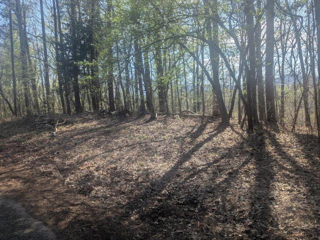 Land for sale in Tennessee