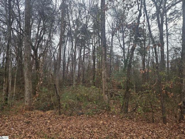 Land for sale in Taylors, South Carolina