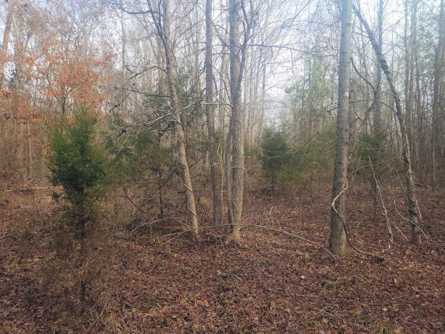 Land for sale in Waterloo, South Carolina